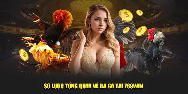 Sơ lược tổng quan về đá gà tại 789WIN 