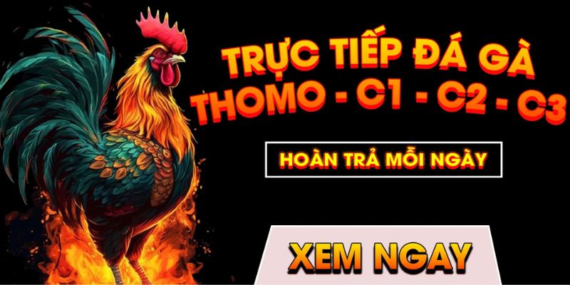 Những yếu tố làm nên sự thành công của chuyên mục hot hit nhất 789WIN