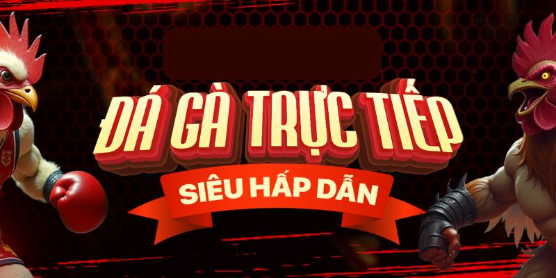 Tìm hiểu về mô hình trực tiếp đá gà 999 tại 789WIN